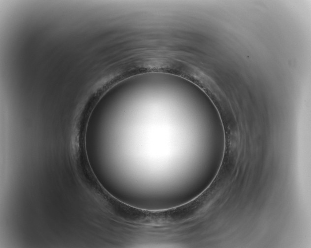 X0000089420727200706221152