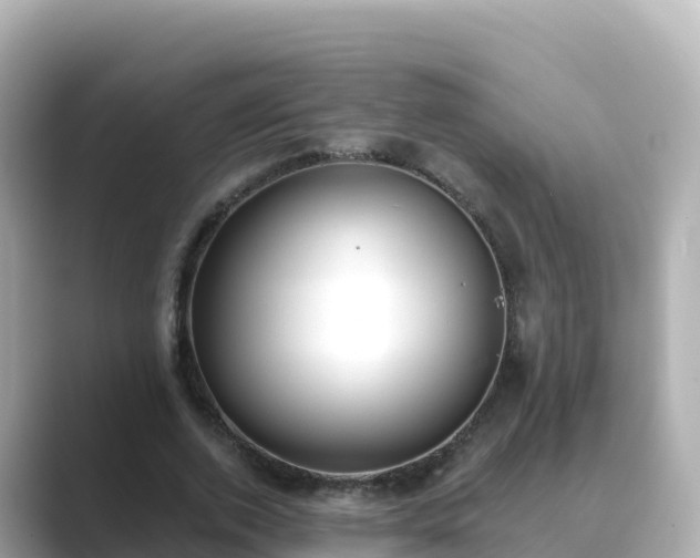 X0000089420728200706221152