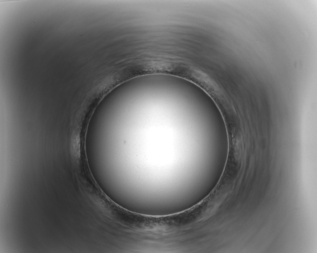 X0000089420729200706221153