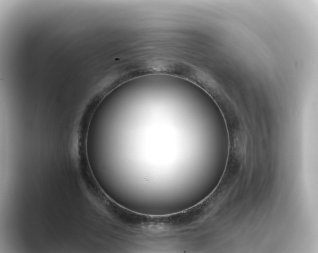 X0000089420730200706221153