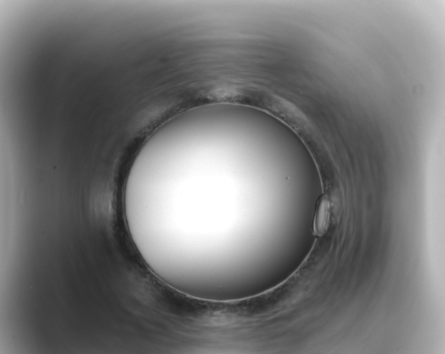 X0000089420732200706221153