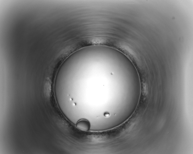 X0000089420733200706221153