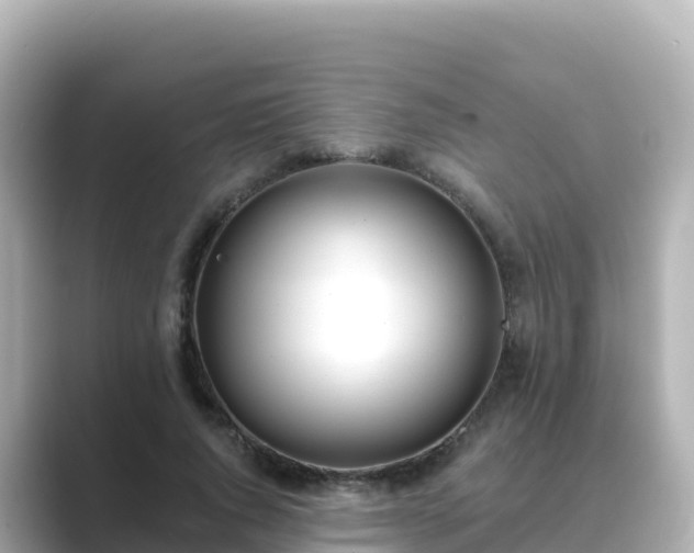 X0000089420736200706221153