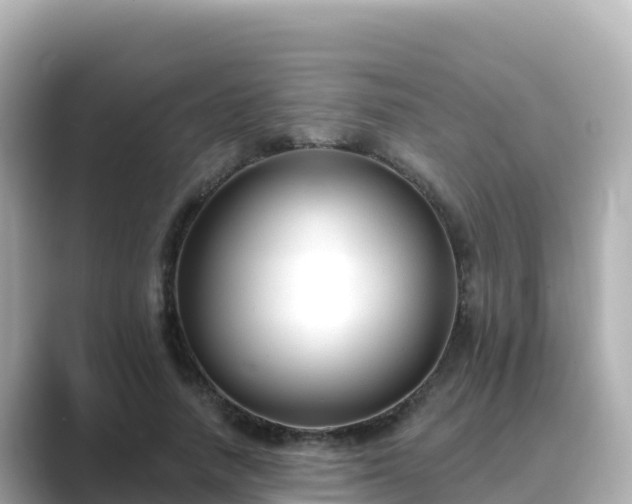 X0000089420738200706221153