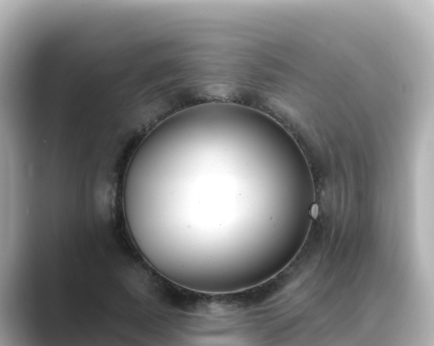 X0000089420739200706221153