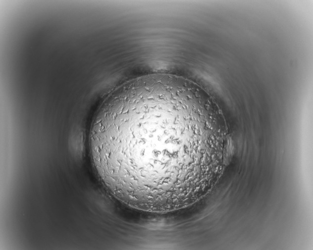 X0000089420740200706221153