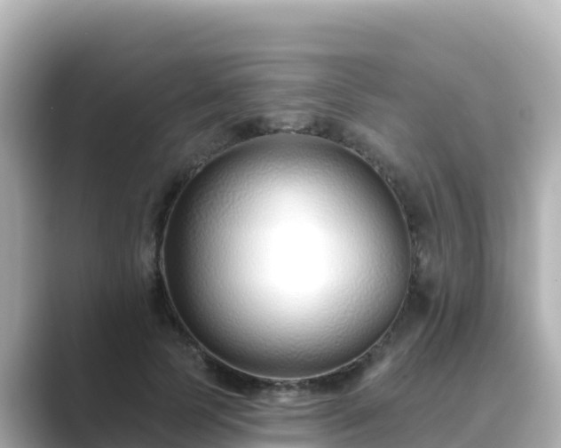 X0000089420745200706221153