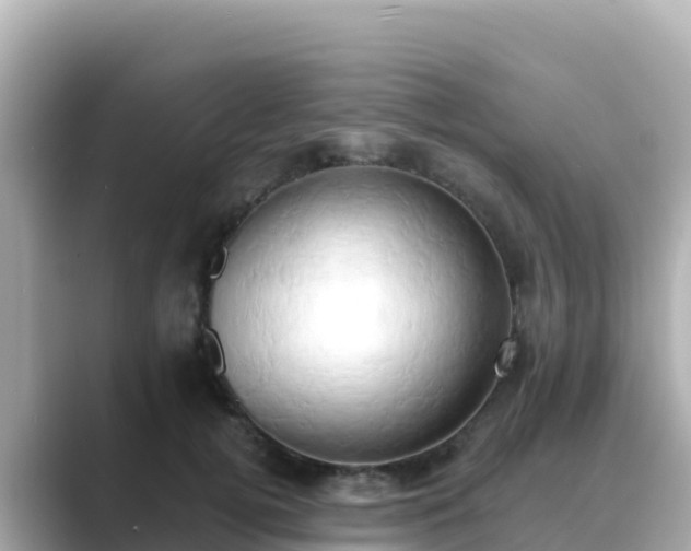 X0000089420752200706221153