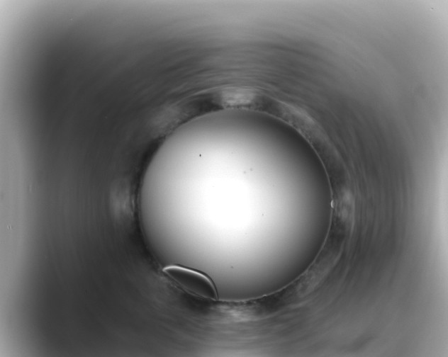 X0000089420763200706221153