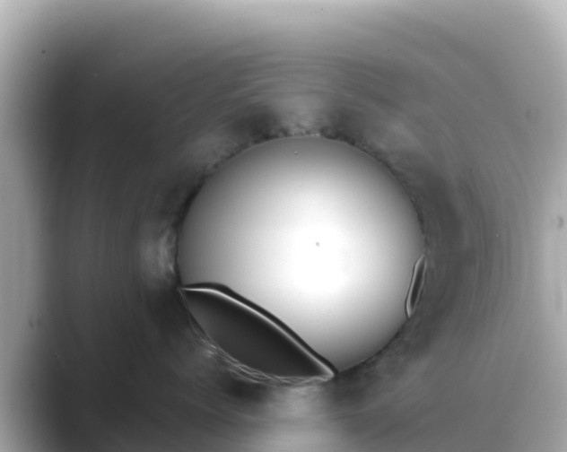 X0000089420768200706221153