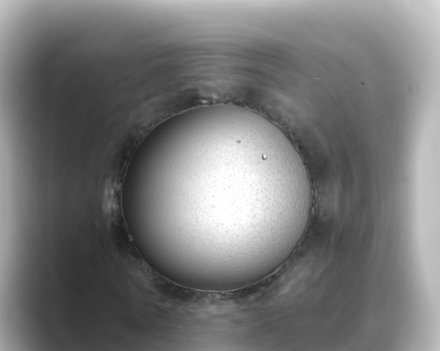 X0000089420770200706221152
