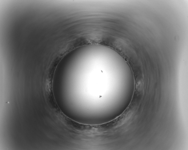 X0000089420772200706221152