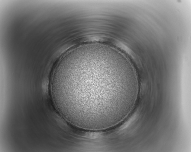 X0000089420778200706221152