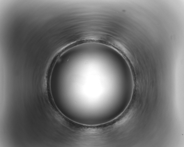 X0000089420779200706221152