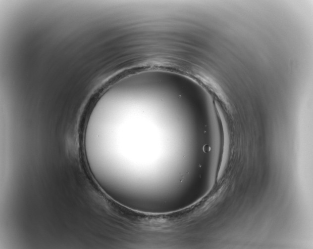 X0000089420784200706221152