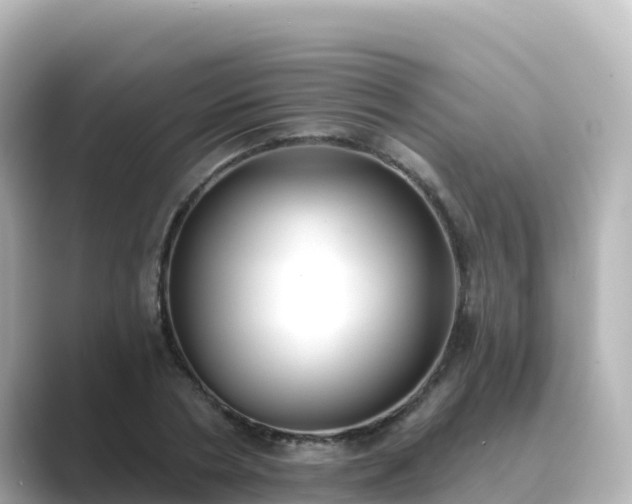 X0000089420786200706221152