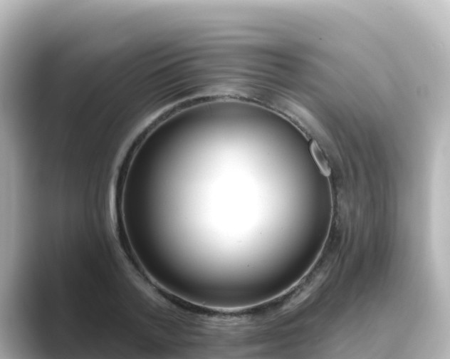 X0000089420788200706221152
