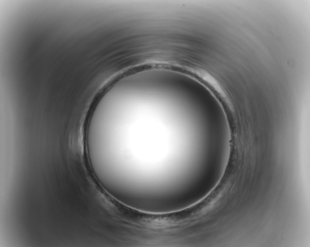 X0000089420791200706221152