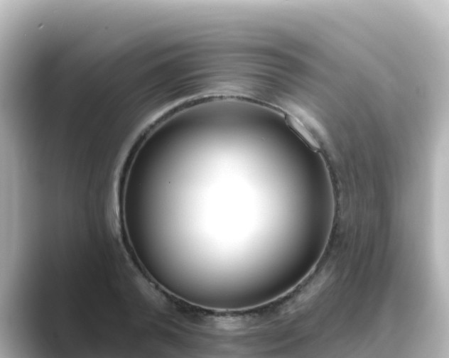 X0000089420792200706221152