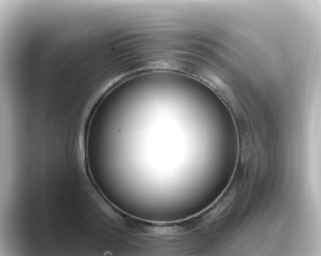 X0000089420796200706221152