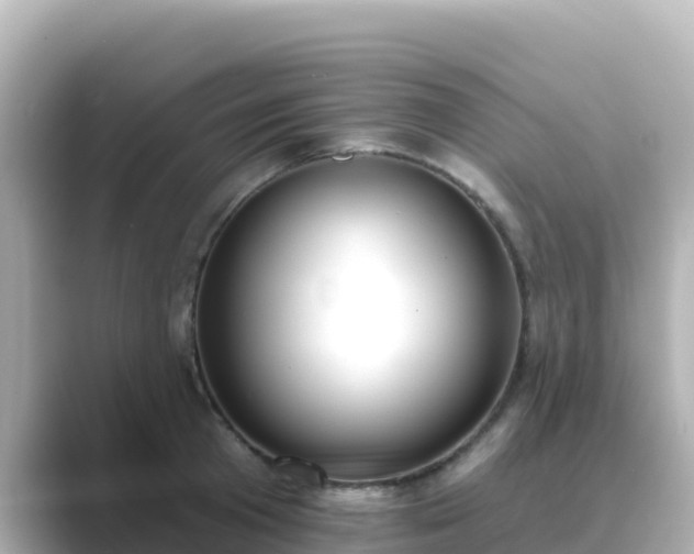 X0000089420801200706221152