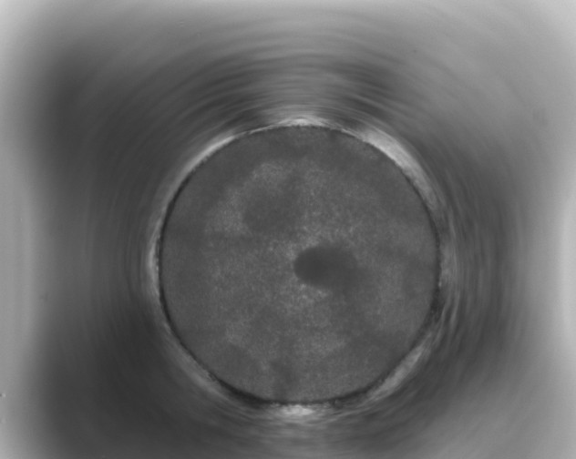 X0000089420806200706221152