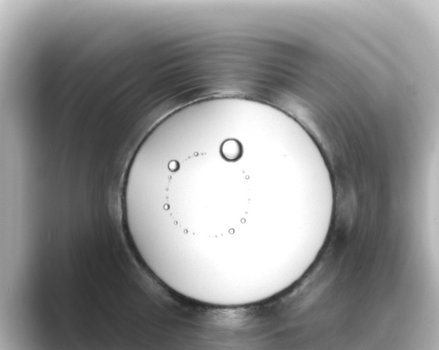 X0000089420810200706221152