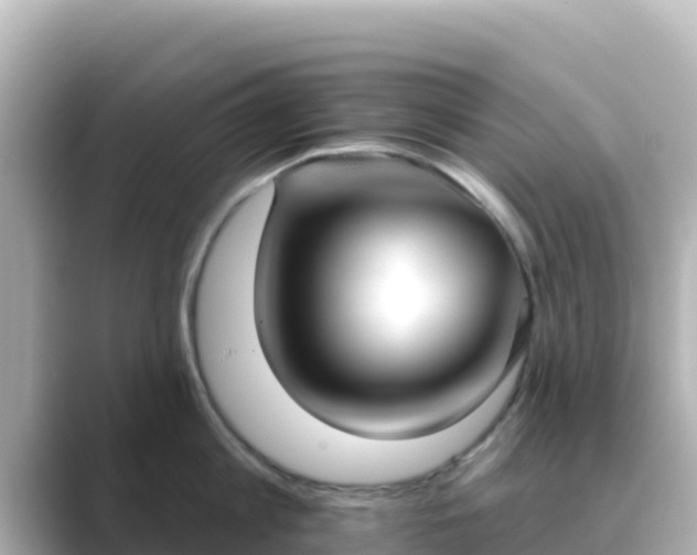 X0000089420813200706221152