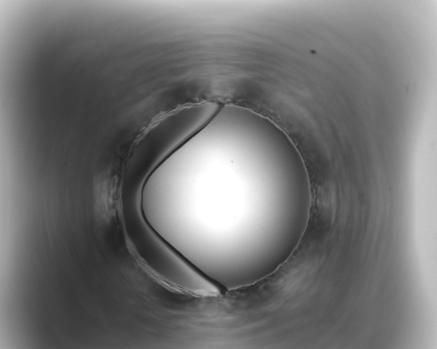 X0000089420818200706221151