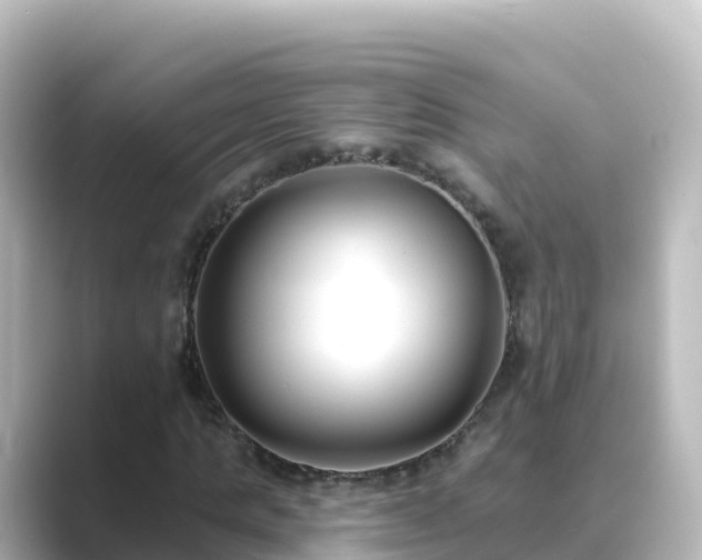 X0000089420821200706221151