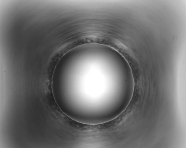 X0000089420822200706221151