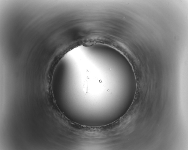 X0000089420823200706221151