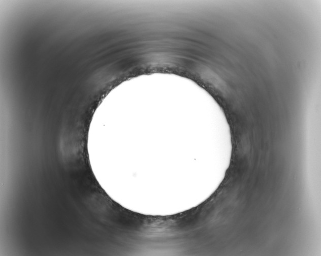 X0000089420824200706221151