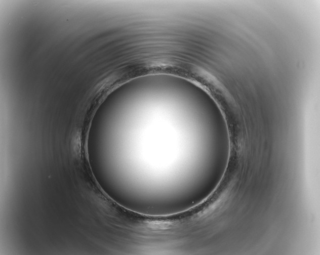 X0000089420825200706221151