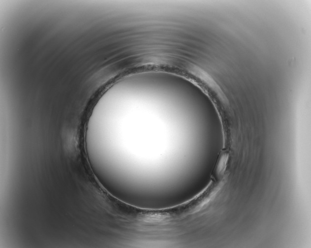 X0000089420826200706221151