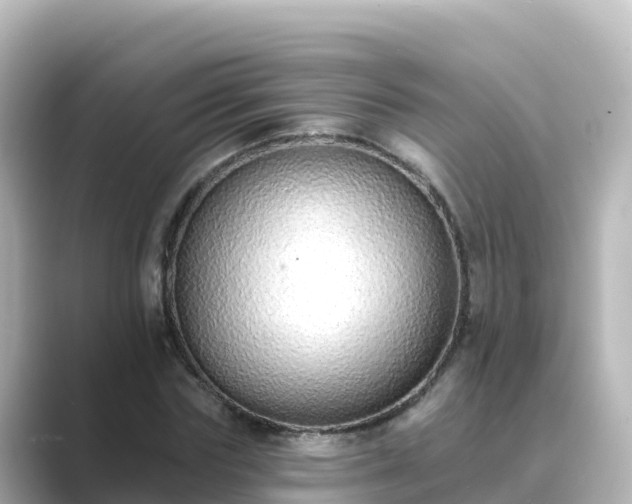X0000089420827200706221151
