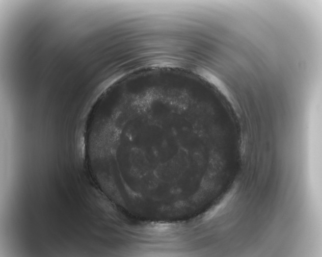 X0000089420829200706221151