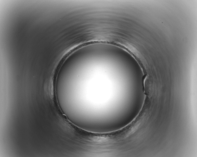 X0000089420838200706221152