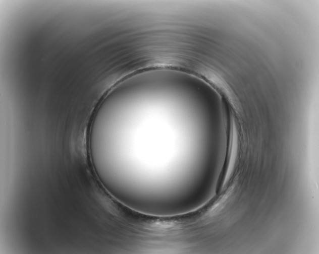 X0000089420842200706221152
