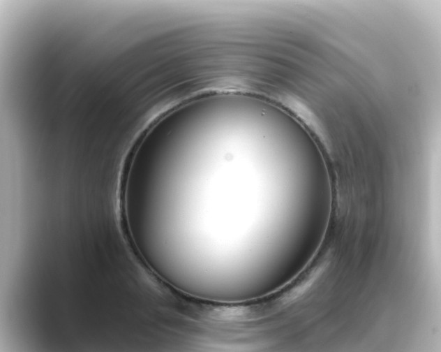 X0000089420845200706221152