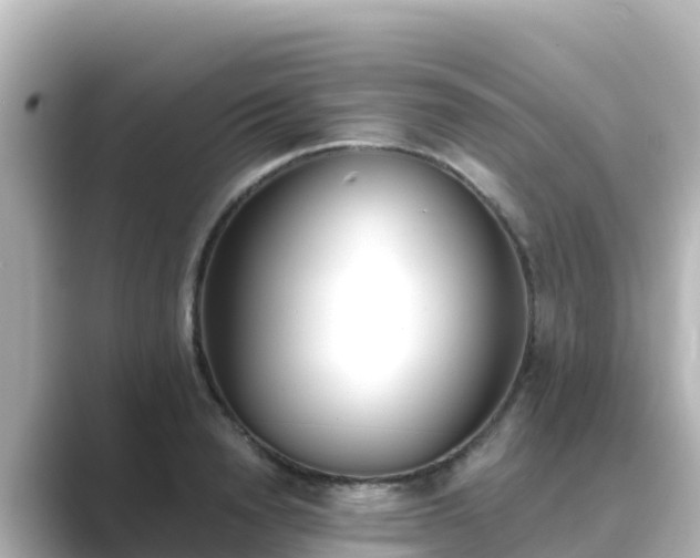 X0000089420846200706221152