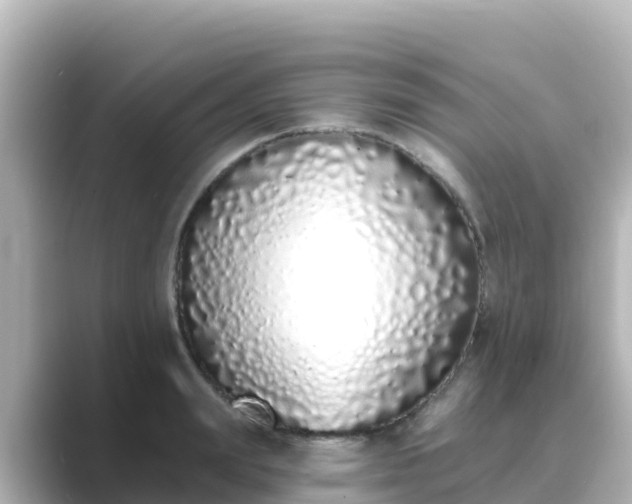 X0000089420847200706221152