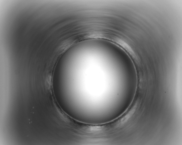 X0000089420849200706221152