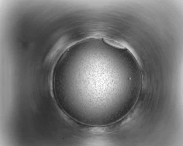 X0000089420861200706221152