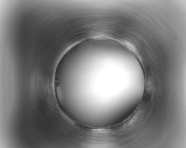 X0000089420863200706221152