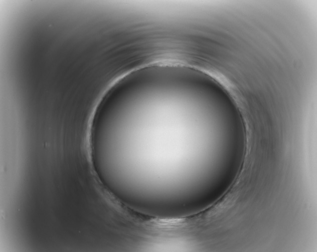 X0000089420864200706221152