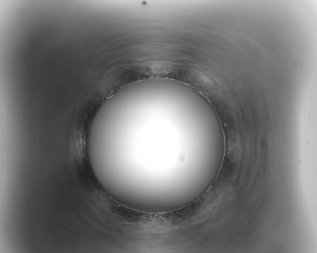 X0000089420866200706221151