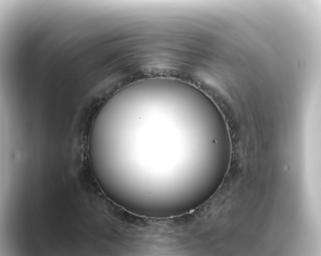 X0000089420870200706221151