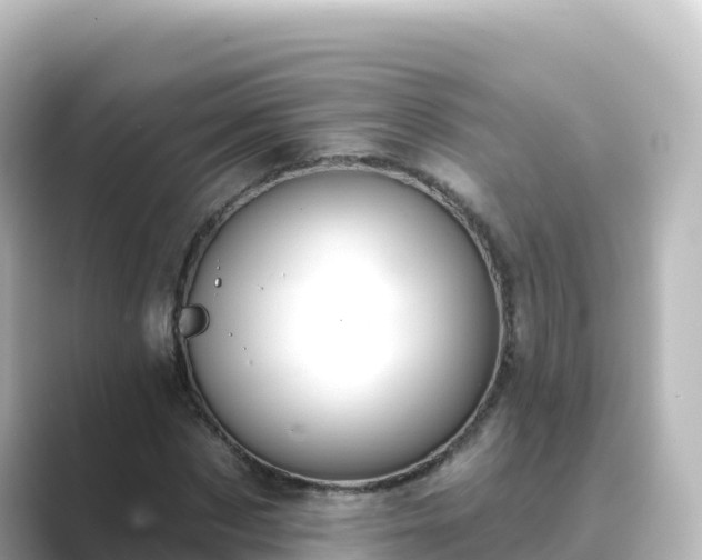 X0000089420873200706221151