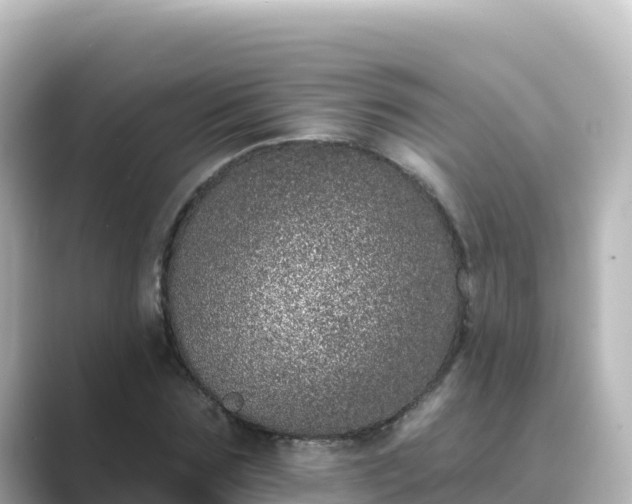 X0000089420875200706221151